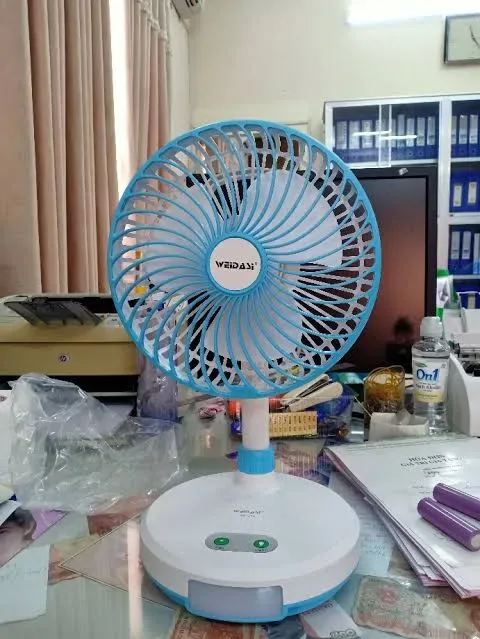 সুন্দর ডিজাইনের ফ্যান